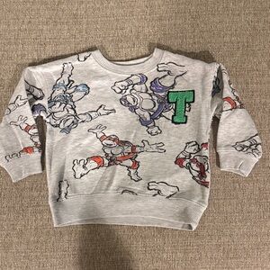 Kids TMNT Sweatshirt- size 3T
